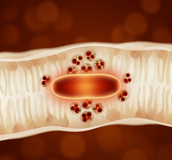 Carotenoid Priming™ Mechanism
