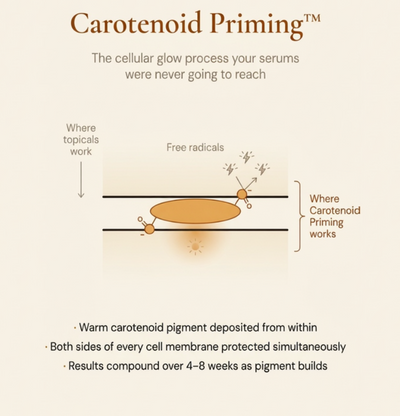 SOLM™ Astaxanthin Soft Gels - Nature's No.1 Antioxidant