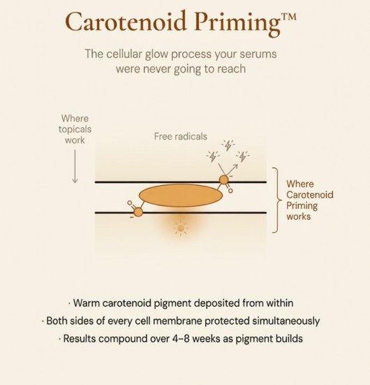 SOLM™ Astaxanthin Soft Gels - Nature's No.1 Antioxidant